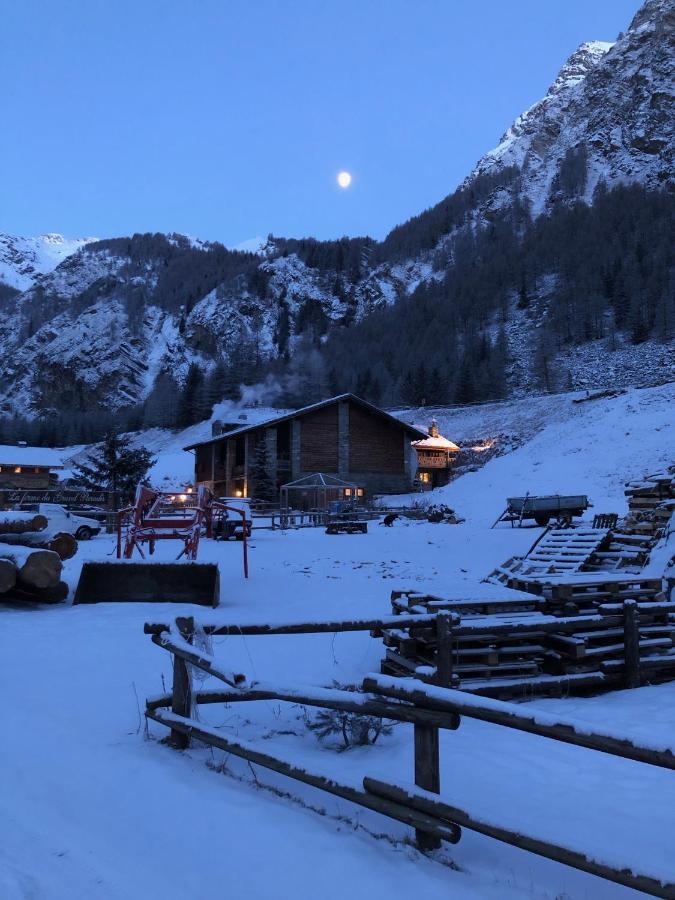 La Ferme Du Grand Paradis Cogne Exterior photo